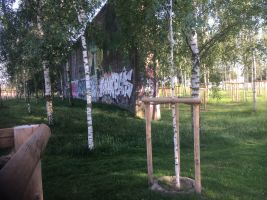 IMG_5393 - Copy.JPG
